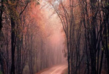 那不勒斯官方：斯皮纳佐拉右大腿肌肉疲劳，已经开始康复.