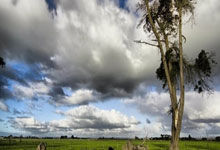 19岁泰拳小霸王不听裁判劝阻，白近斌临门一脚，把他踢进抢救室.