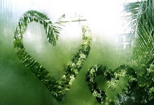 [健身动起来]杜美娜带来普拉提训练-背部激活.