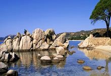 2025京城媒体羽毛球双打混合团体邀请赛挥拍3-29 22：32.